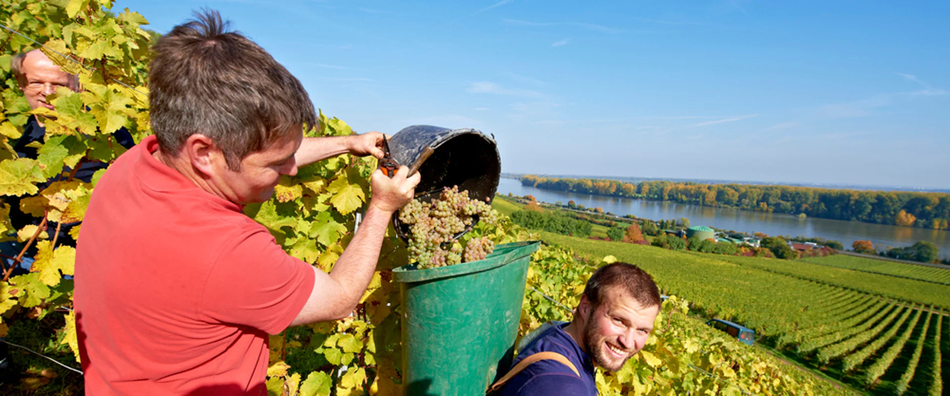 Weingut Keller