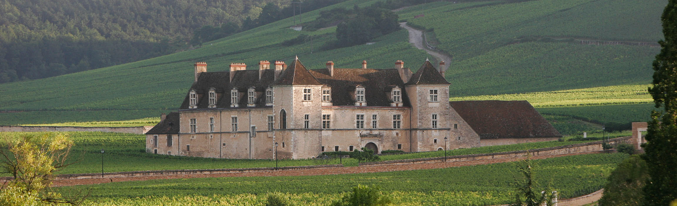 Clos Vougeot