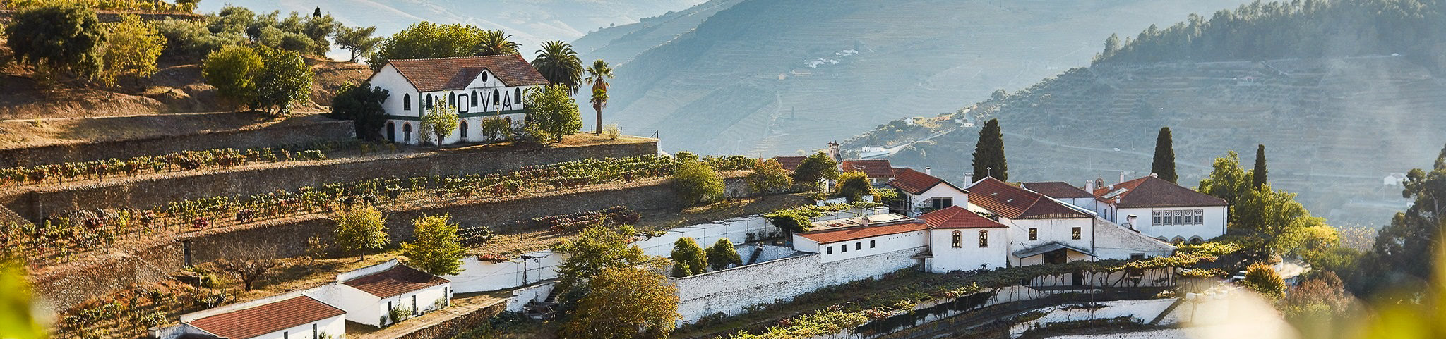 Quinta do Noval
