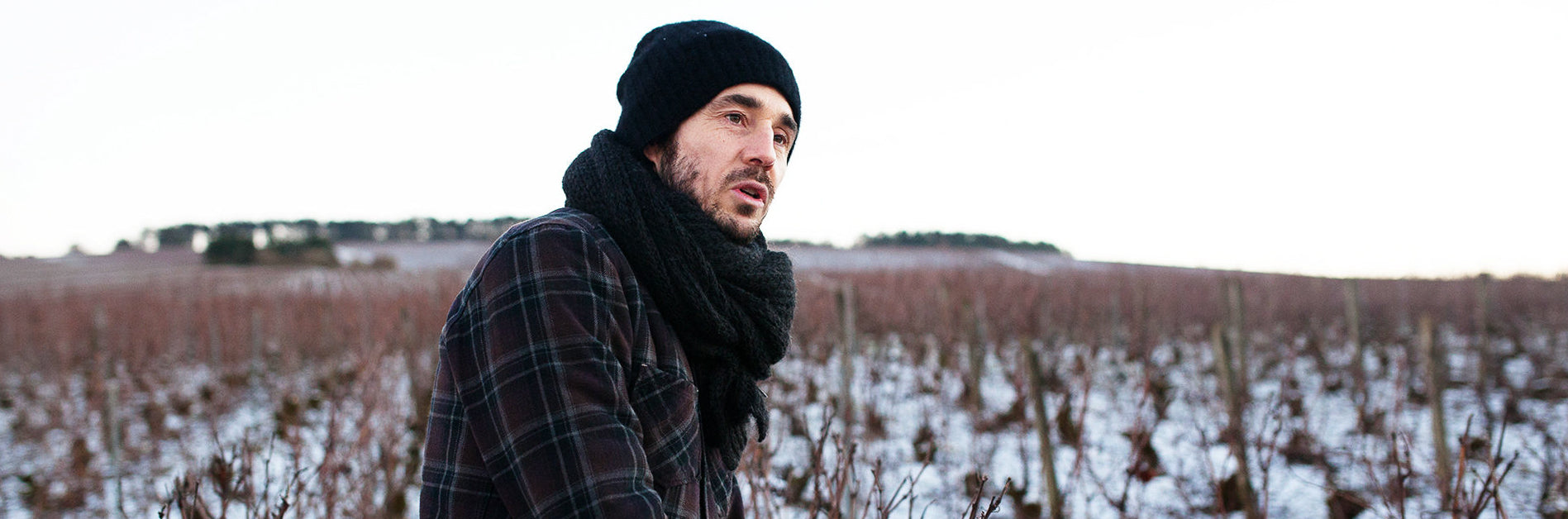 Cédric Bouchard Roses de Jeanne