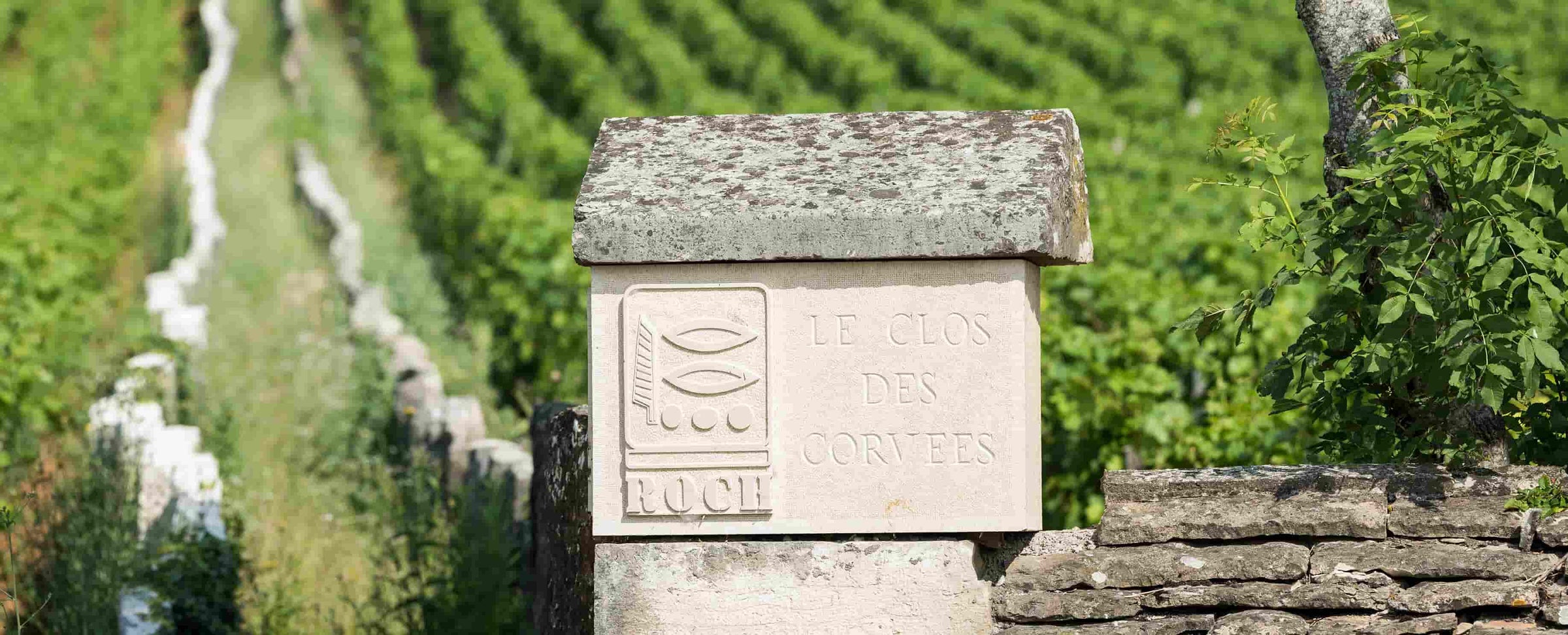 Domaine Prieuré Roch