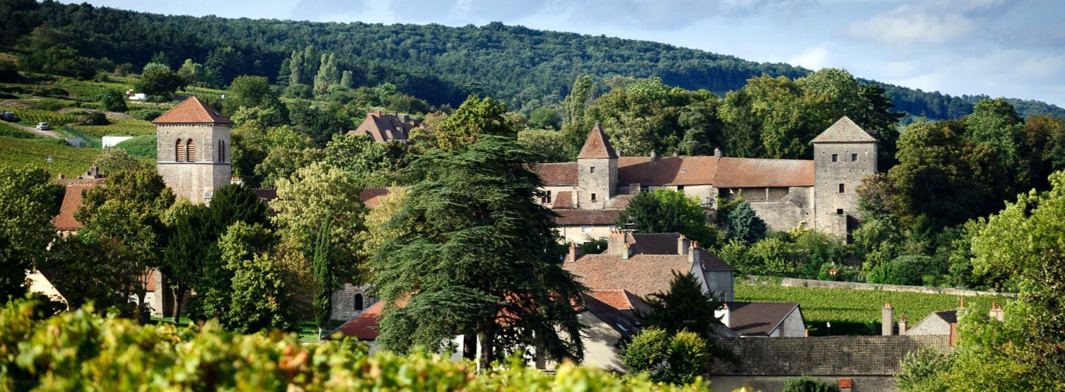Gevrey-Chambertin