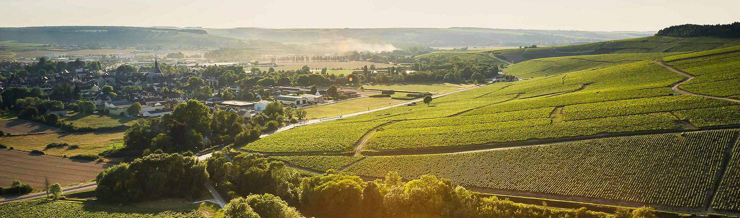 Puligny-Montrachet
