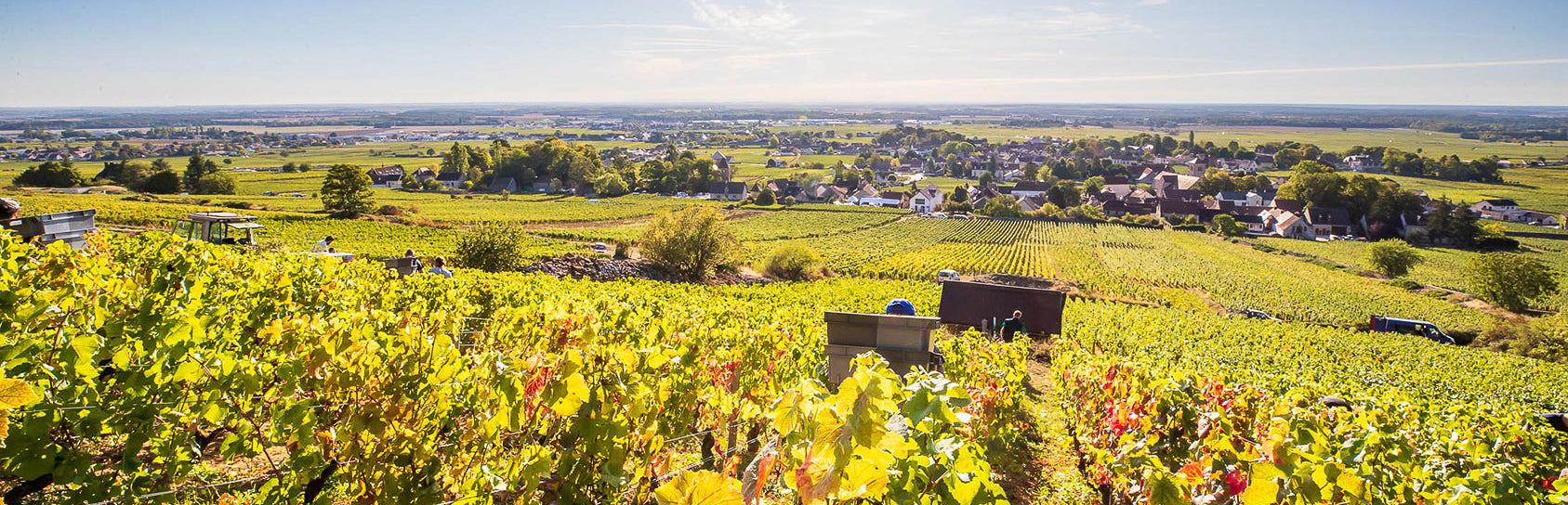 Domaine Bruno Clair