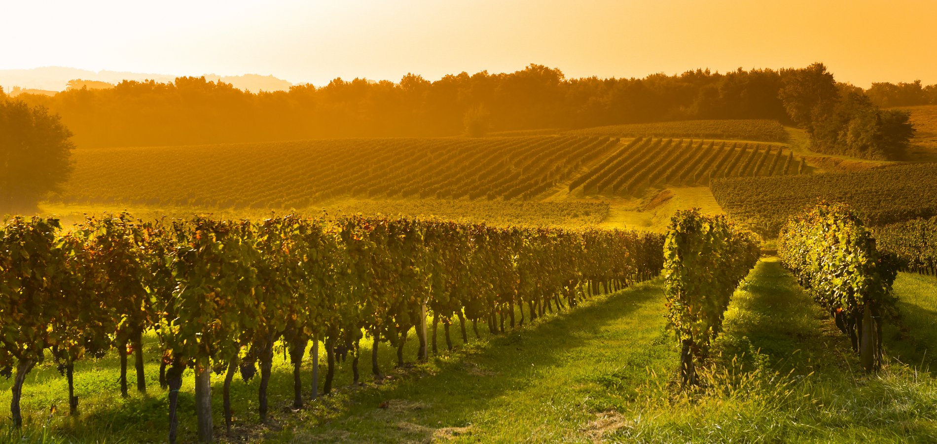 Saint-Émilion Premier Grand Cru Classé