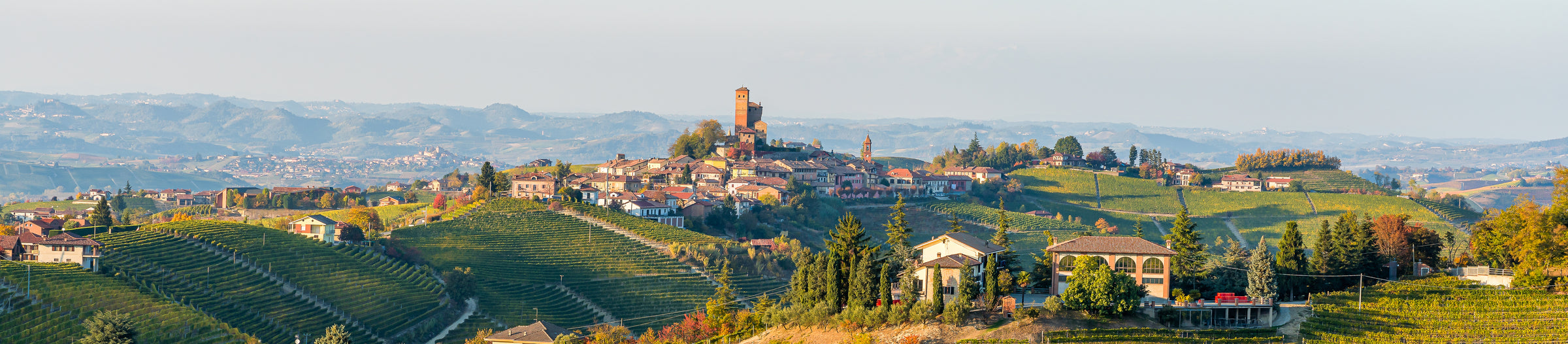 Barbaresco