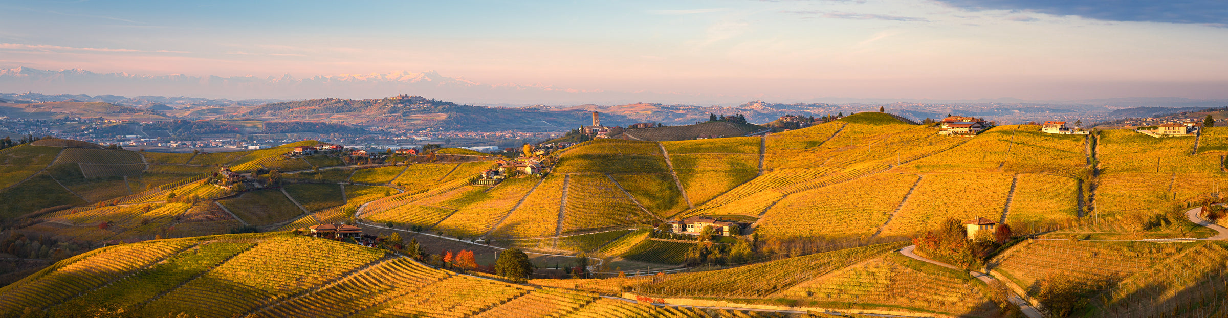 Barolo