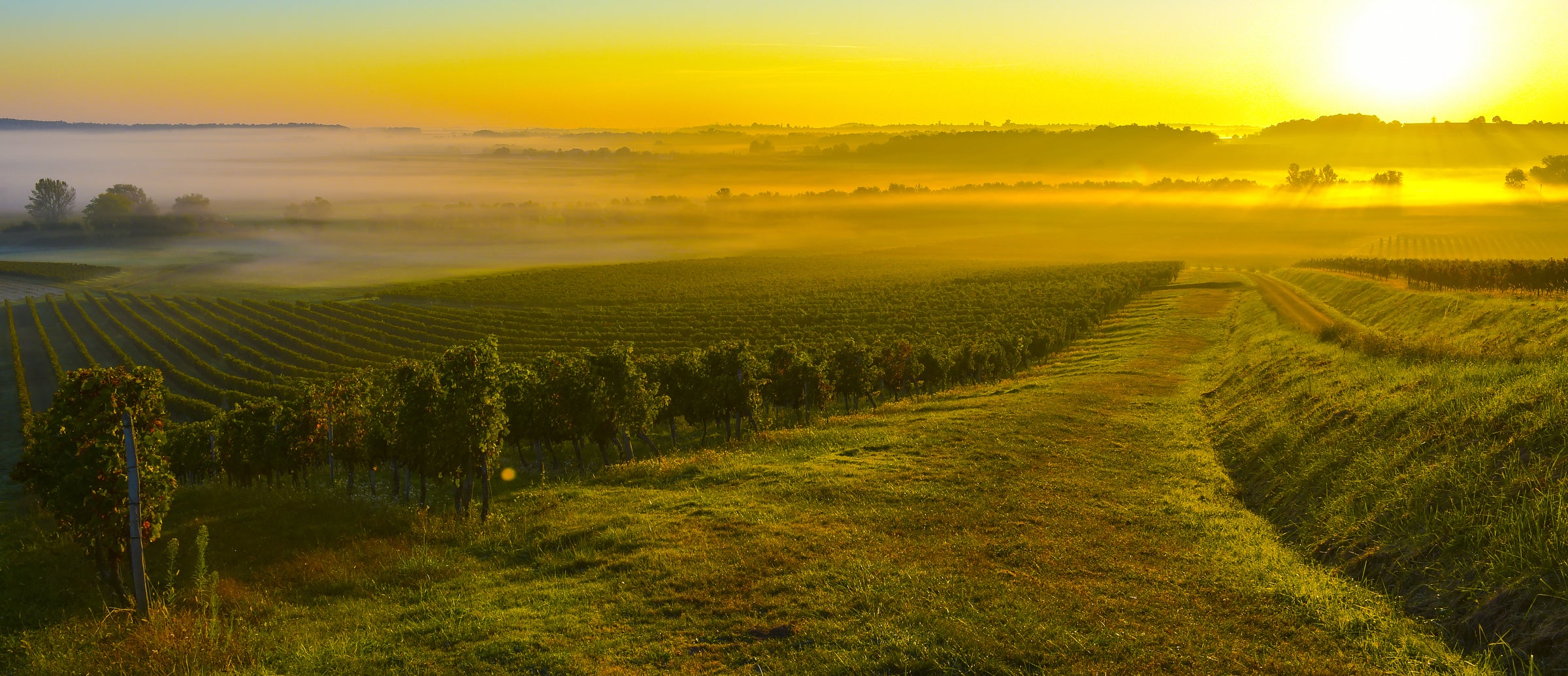 Médoc