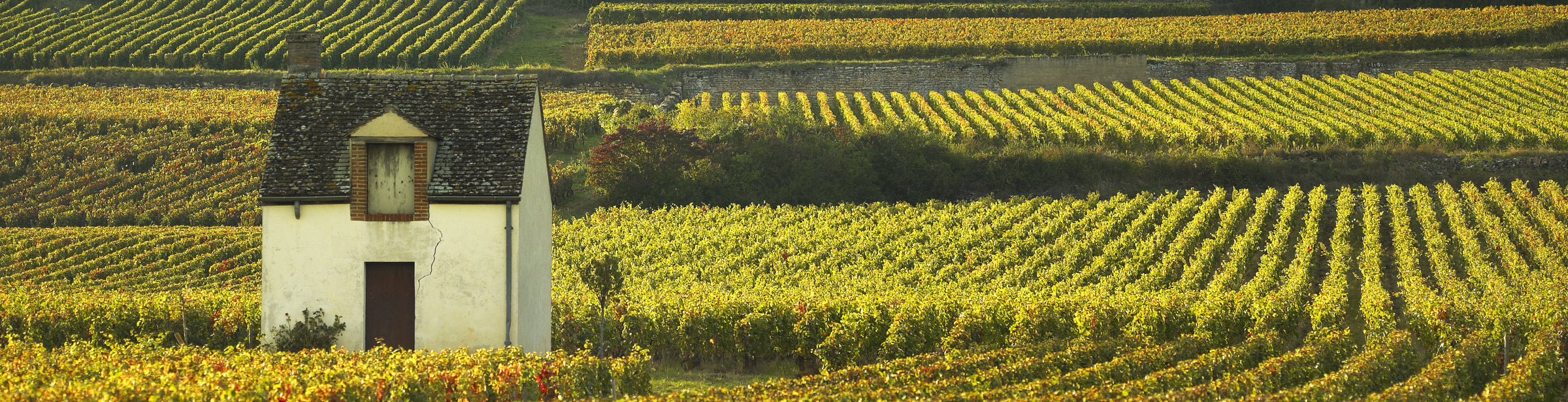 Vosne-Romanée