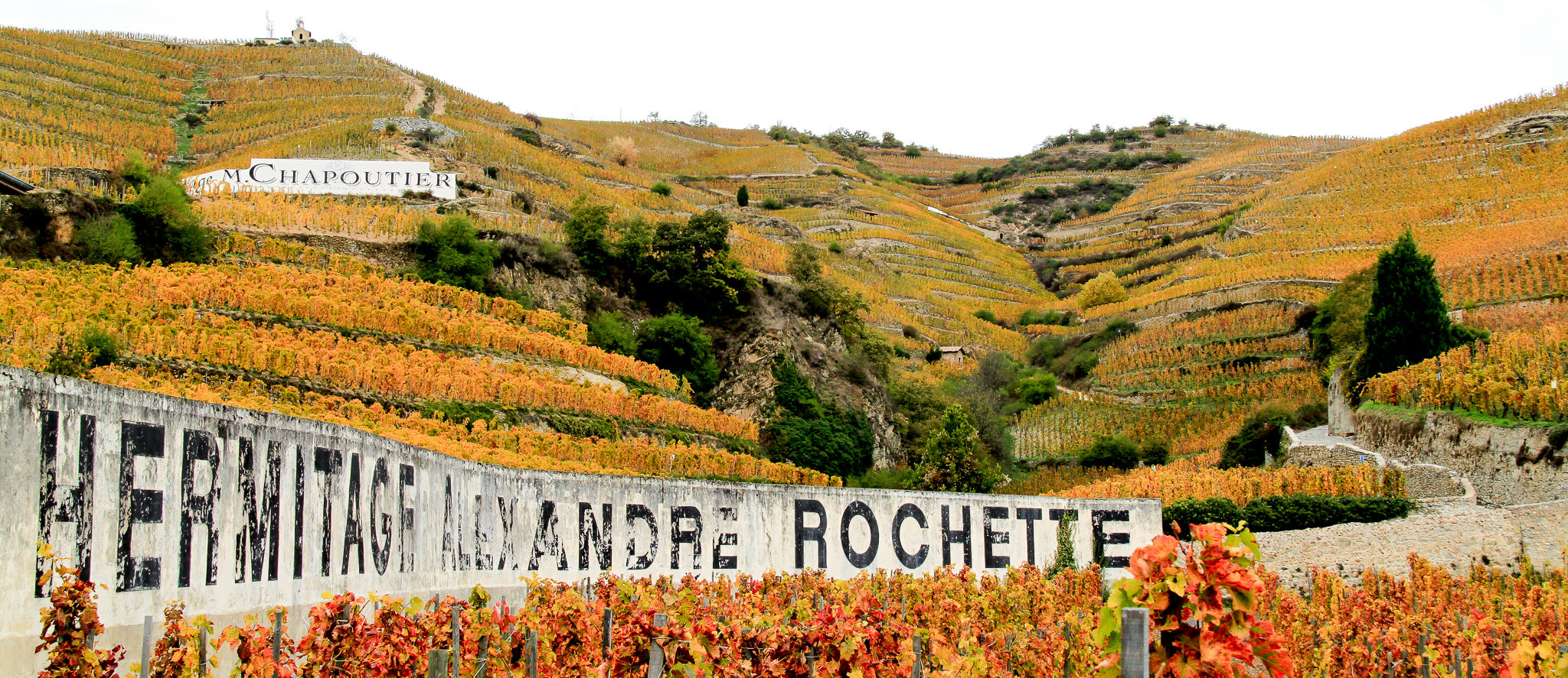 Rhone