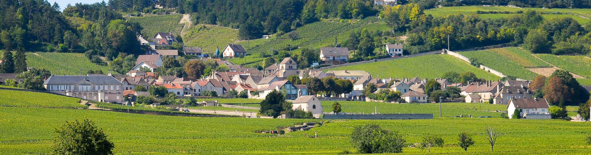 Bourgogne Premier Cru
