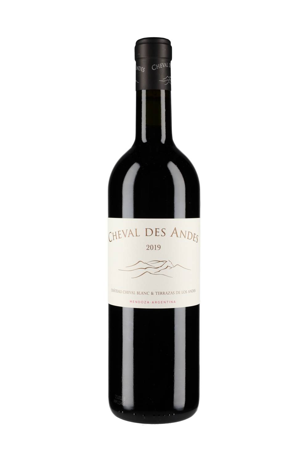 Cheval des Andes Medoza 2019