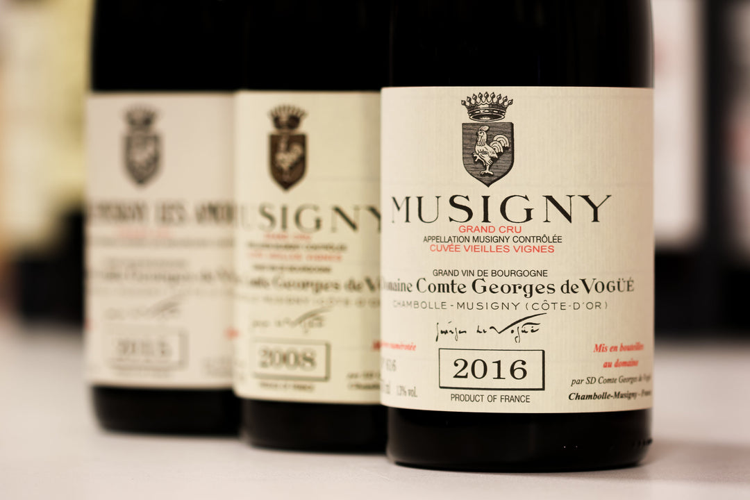 Domaine Comte Georges de Vogüé: Burgundy’s Iconic Estate in Chambolle-Musigny