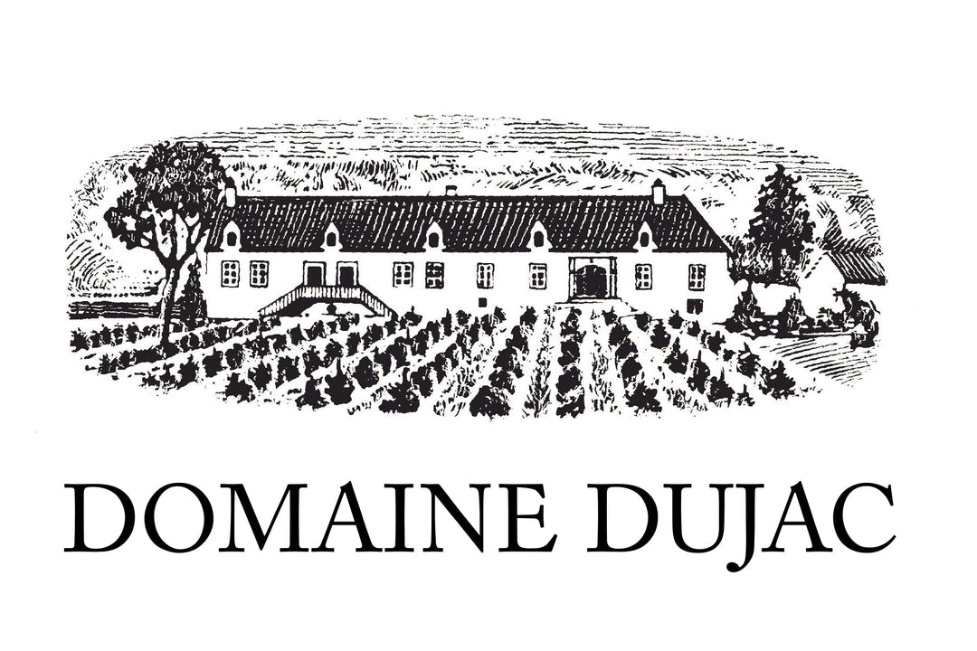 Domaine Dujac, Burgundy Excellence from Morey-Saint-Denis