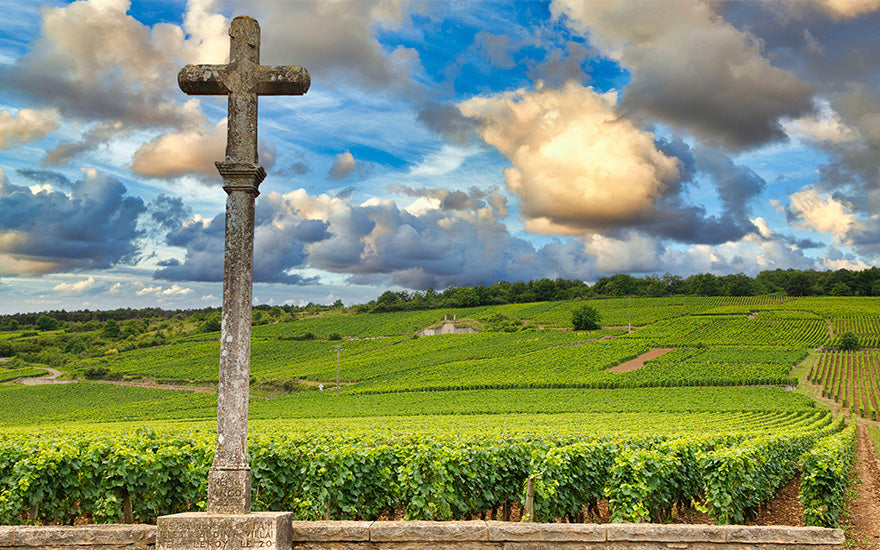 Domaine de la Romanée-Conti - DRC