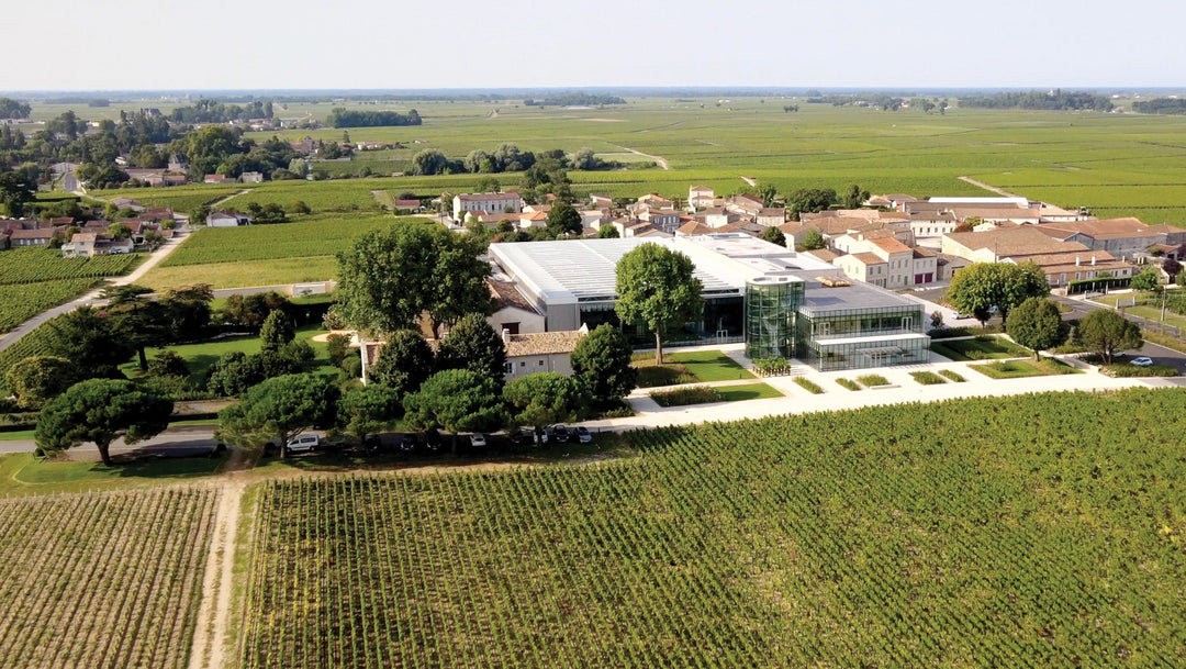 Château Lynch-Bages: A Classic Pauillac Estate