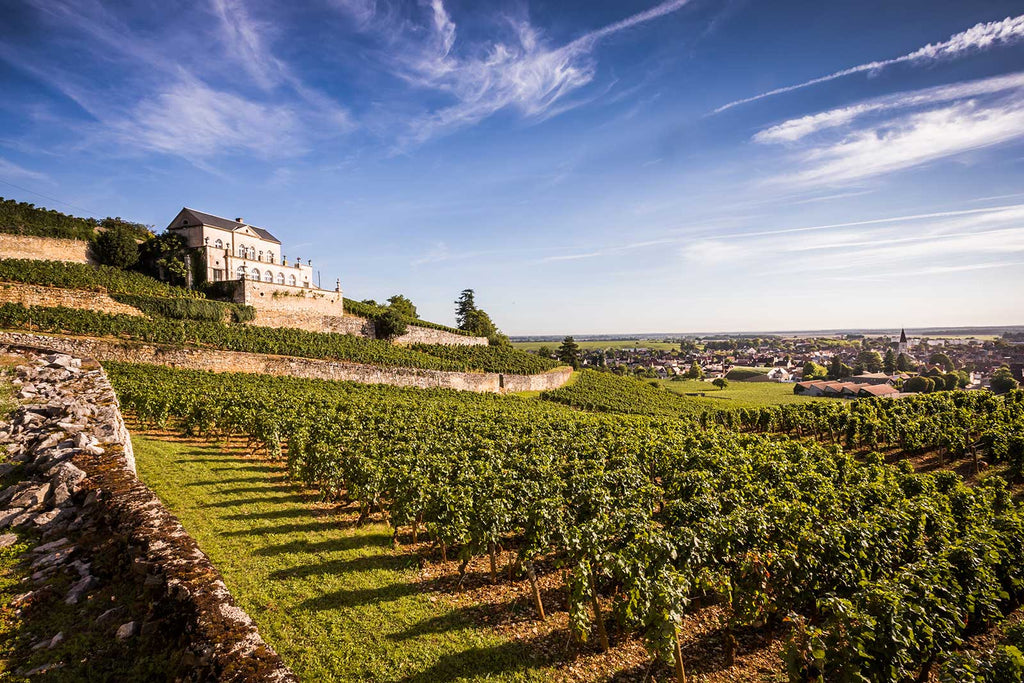 Discovering Nuits-Saint-Georges: Burgundy’s Underrated Appellation