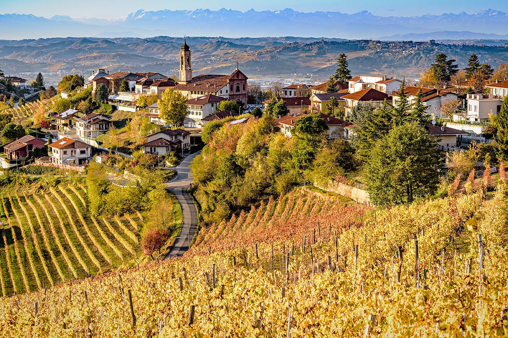 Piemonte: Barolo, Barbaresco & more!
