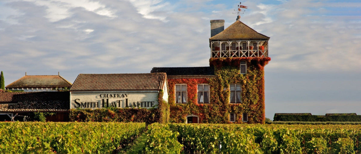 Bordeaux Blanc
