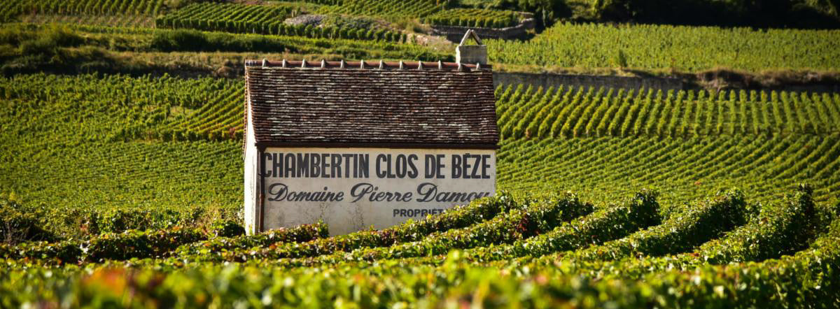 Chambertin-Clos de Bèze Grand Cru