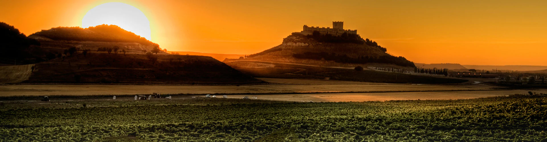 Ribera del Duero