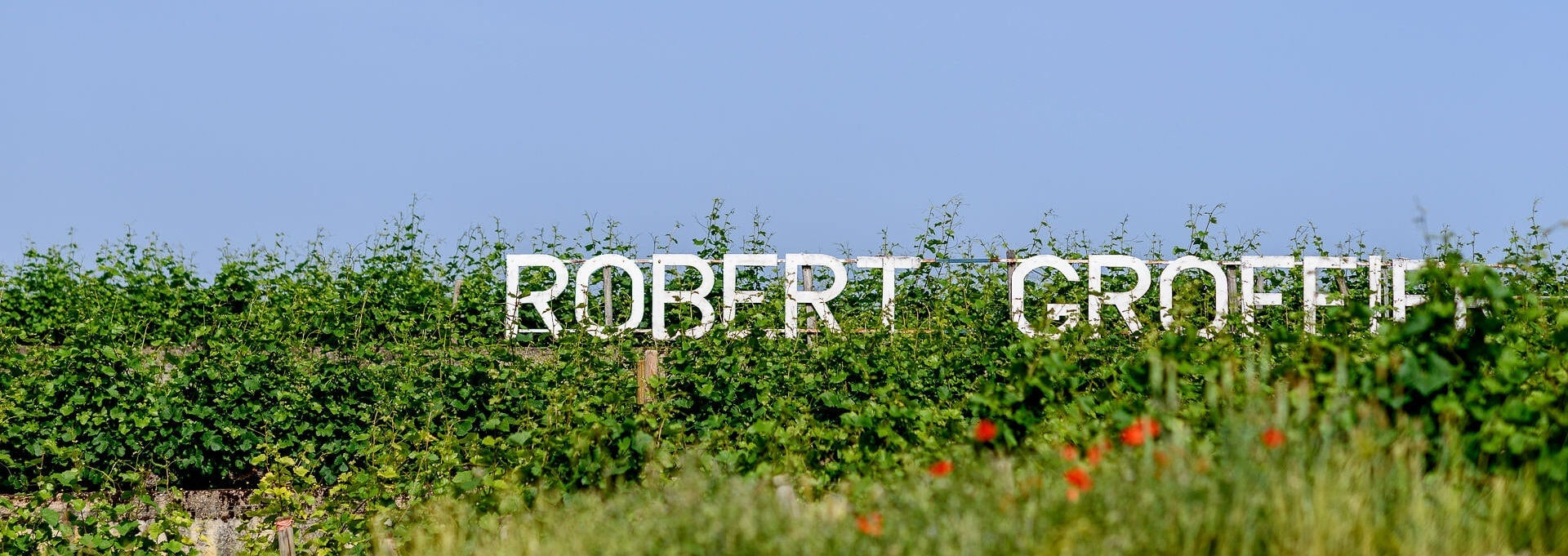 Domaine Robert Groffier
