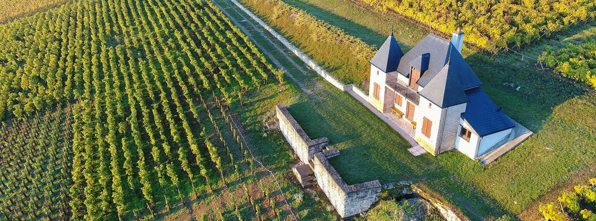 Domaine Ponsot