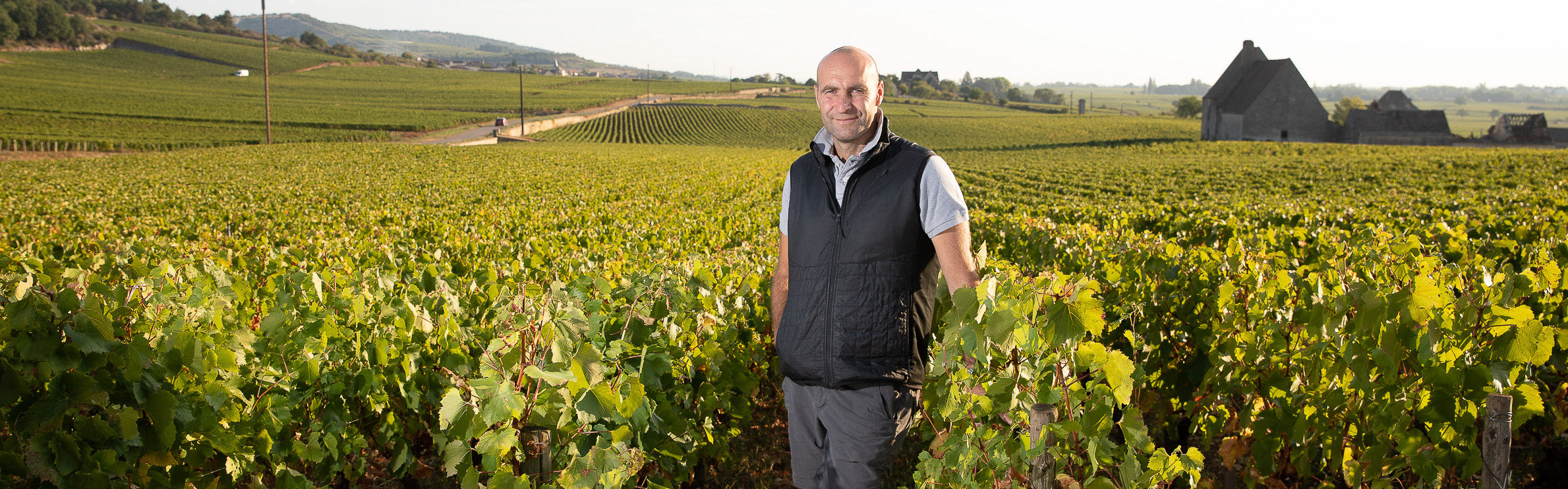 Domaine Pierre-Yves Colin-Morey
