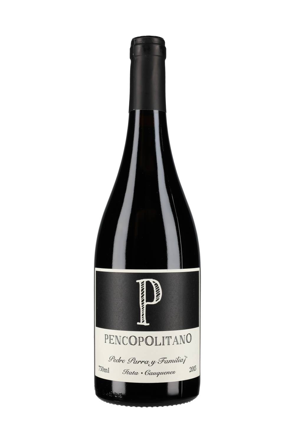 Pedro Parra y Familia P Pencopolitano 2015