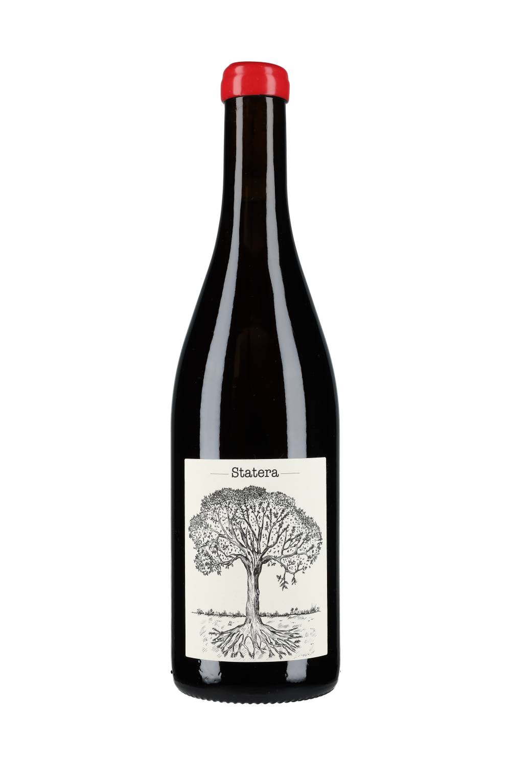 Domaine de Bellevue Jérôme Bretaudeau Statera 2023