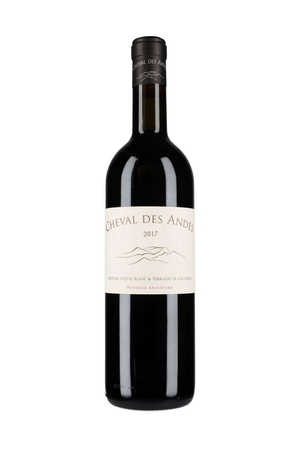 Cheval des Andes Medoza 2017