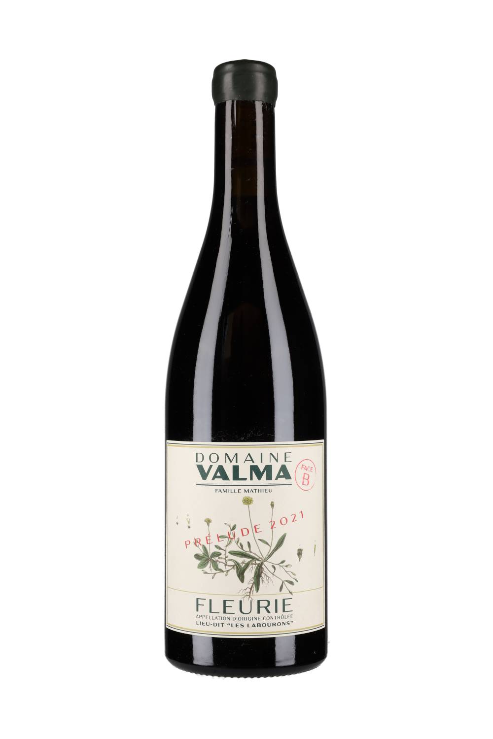Domaine Valma Fleurie Les Labourons Face B 2021