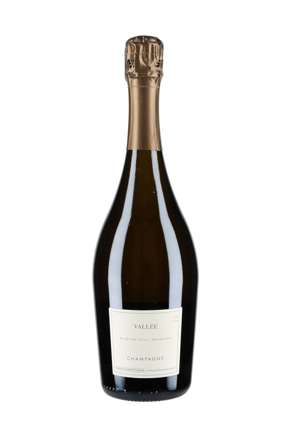 Domaine Les Monts Fournois Champagne Grand Cru Vallée 2014